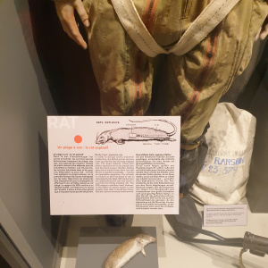 Rat piégé - sabotage anglais